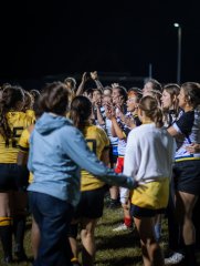 p1479448.jpg - JPEG - 522.2 ko - 2000×2664 px