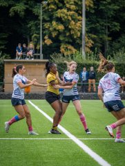 p1504281.jpg - JPEG - 774.8 ko - 2000×2664 px