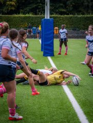 p1504309.jpg - JPEG - 887.8 ko - 2000×2664 px