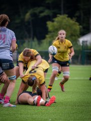 p1504326.jpg - JPEG - 672.2 ko - 2000×2664 px