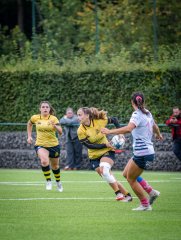 p1504371.jpg - JPEG - 810.4 ko - 2000×2664 px