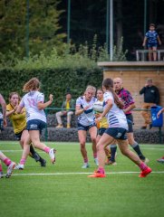 p1504378.jpg - JPEG - 776.5 ko - 2000×2664 px