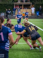 p1504938.jpg - JPEG - 787.2 ko - 2000×2664 px