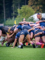 p1504978.jpg - JPEG - 772.2 ko - 2000×2664 px