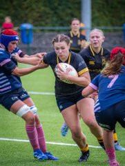 p1505181.jpg - JPEG - 751.9 ko - 2000×2664 px