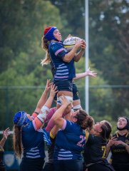 p1515224.jpg - JPEG - 652.8 ko - 2000×2664 px