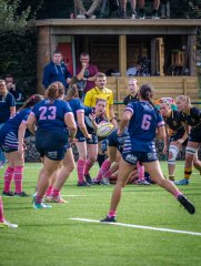 p1515309.jpg - JPEG - 818.1 ko - 2000×2664 px