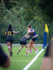 p1515337.jpg - JPEG - 760.4 ko - 2000×2665 px