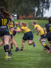 p1516330.jpg - JPEG - 800.5 ko - 2000×2664 px