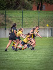 p1526524.jpg - JPEG - 721.2 ko - 2000×2665 px