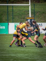 p1526533.jpg - JPEG - 756.7 ko - 2000×2664 px