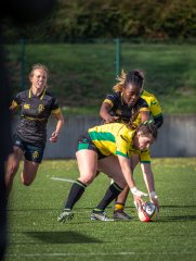 p1526700.jpg - JPEG - 675.3 ko - 2000×2664 px