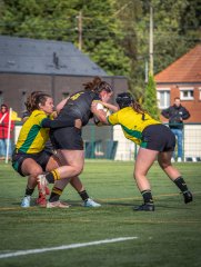 p1526743.jpg - JPEG - 721.2 ko - 2000×2664 px