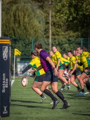 p1526809.jpg - JPEG - 763.2 ko - 2000×2664 px