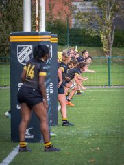 p1526999.jpg - JPEG - 718.3 ko - 2000×2664 px