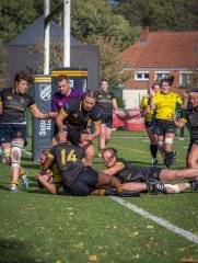 p1527023.jpg - JPEG - 870.7 ko - 2000×2664 px