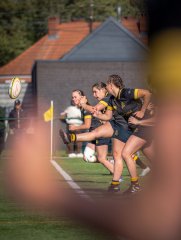 p1527075.jpg - JPEG - 448 ko - 2000×2664 px