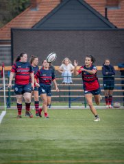 p1539884.jpg - JPEG - 554.5 ko - 2000×2664 px