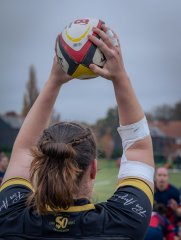 p1540180.jpg - JPEG - 547.4 ko - 2000×2664 px