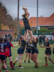 p1540431.jpg - JPEG - 673 ko - 2000×2664 px