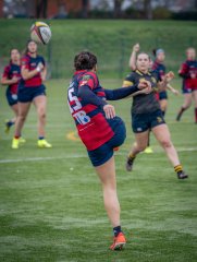 p1540625.jpg - JPEG - 625.8 ko - 2000×2664 px