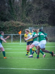 p1563796.jpg - JPEG - 1.1 Mo - 2000×2664 px