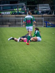 p1564098.jpg - JPEG - 976.8 ko - 2000×2664 px