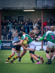 p1564163.jpg - JPEG - 955.5 ko - 2000×2664 px