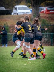 p1574999.jpg - JPEG - 925 ko - 2000×2664 px