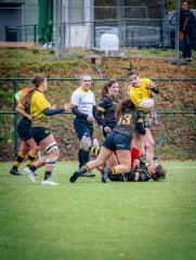 p1575295.jpg - JPEG - 955.5 ko - 2000×2664 px