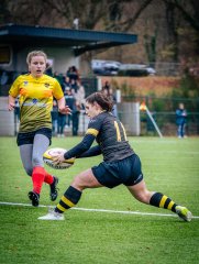 p1575397.jpg - JPEG - 900.3 ko - 2000×2664 px