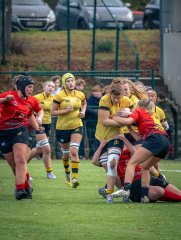 p1575687.jpg - JPEG - 996.6 ko - 2000×2664 px