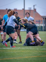 p1586267.jpg - JPEG - 806.6 ko - 2000×2664 px