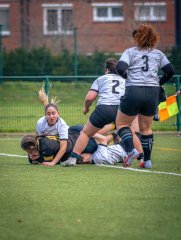 p1586290.jpg - JPEG - 803.8 ko - 2000×2664 px