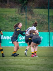 p1586476.jpg - JPEG - 724.2 ko - 2000×2664 px