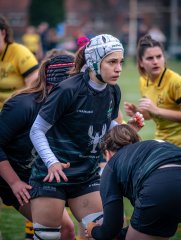 p1586572.jpg - JPEG - 672.2 ko - 2000×2664 px