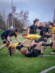 p1586614.jpg - JPEG - 927.3 ko - 2000×2664 px