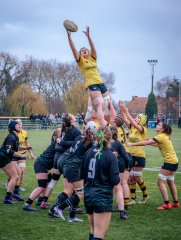 p1586628.jpg - JPEG - 919.6 ko - 2000×2664 px