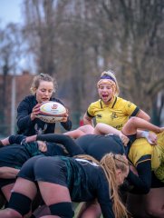 p1586722.jpg - JPEG - 608.3 ko - 2000×2664 px