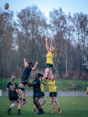 p1586814.jpg - JPEG - 842.6 ko - 2000×2664 px