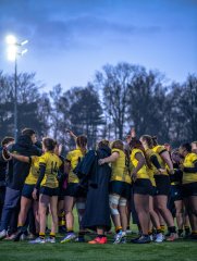 p1587071.jpg - JPEG - 664.7 ko - 2000×2664 px