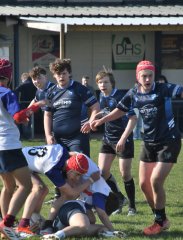 dsc_1124-2.jpg - JPEG - 380.2 ko - 1500×1971 px