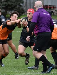 dsc_4541-4.jpg - JPEG - 361.8 ko - 1500×1967 px