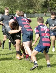 gp5f3933.jpg - JPEG - 1.1 Mo - 2000×2617 px