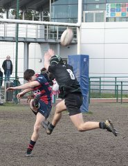 gp5f6912.jpg - JPEG - 828.9 ko - 2000×2601 px