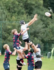 gp5f1286.jpg - JPEG - 587.7 ko - 2000×2569 px