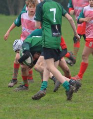 dsc_0882-5.jpg - JPEG - 567.6 ko - 2000×2543 px