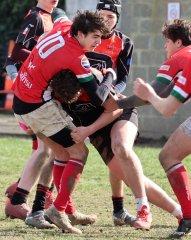 042-bj8a7526.jpg - JPEG - 549.1 ko - 860×1082 px