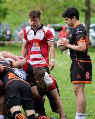 021-bj8a9285.jpg - JPEG - 569.5 ko - 2000×2502 px