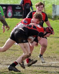 023-bj8a7496.jpg - JPEG - 1.3 Mo - 1461×1828 px